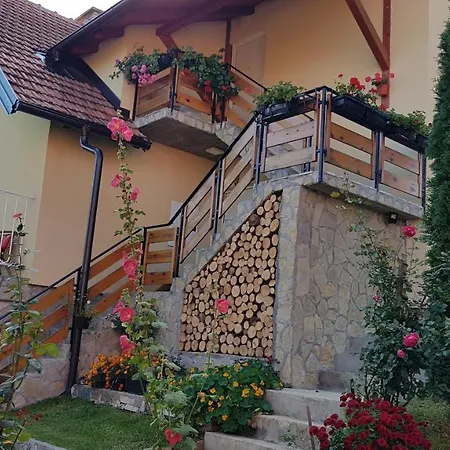 Dm Tornik Zlatibor
