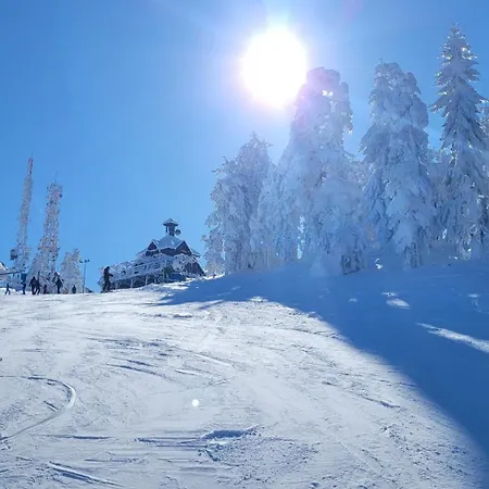 Dm Tornik Apartment *