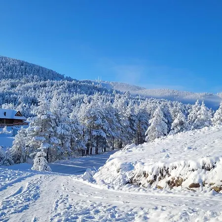 Dm Tornik Apartment *