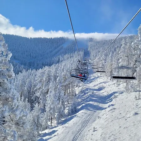 Apartment Dm Tornik *