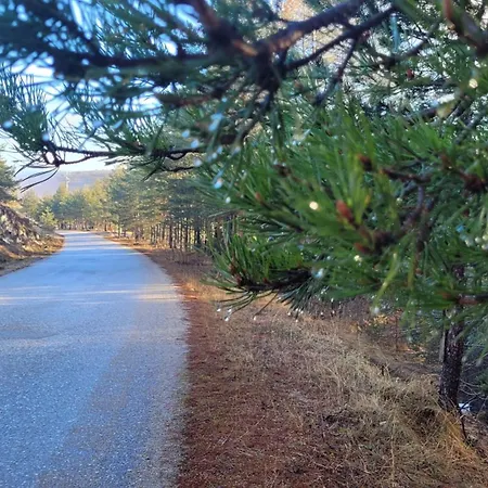 Dm Tornik Apartment *