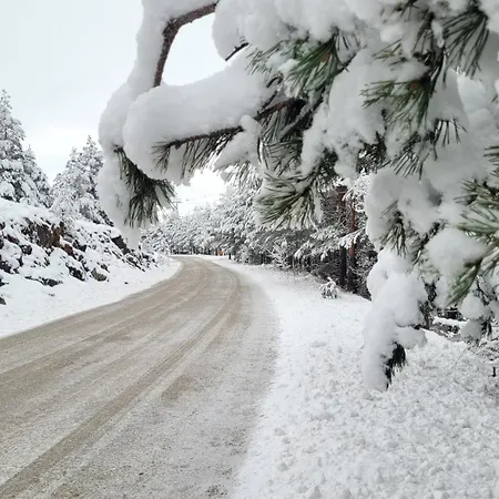 Dm Tornik Apartment *