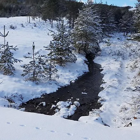 Dm Tornik Apartamento Zlatibor
