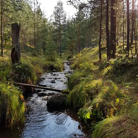 Apartamento Dm Tornik Zlatibor