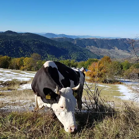 Apartment Dm Tornik *