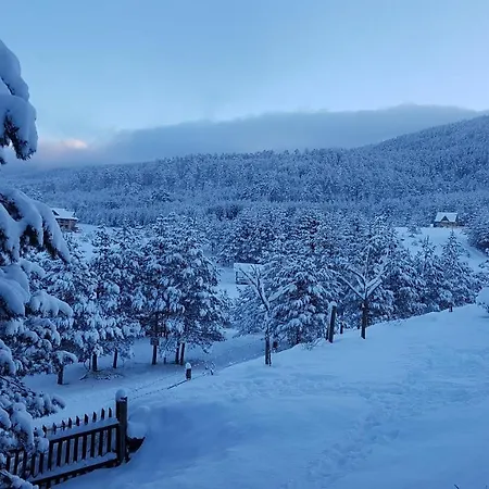Dm Tornik * Zlatibor