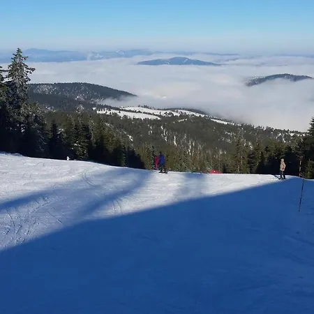 Apartment Dm Tornik *