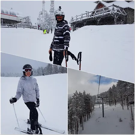 Dm Tornik * Zlatibor